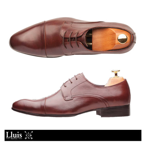 Brown / Coffee Leather Shoes